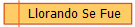Llorando Se Fue